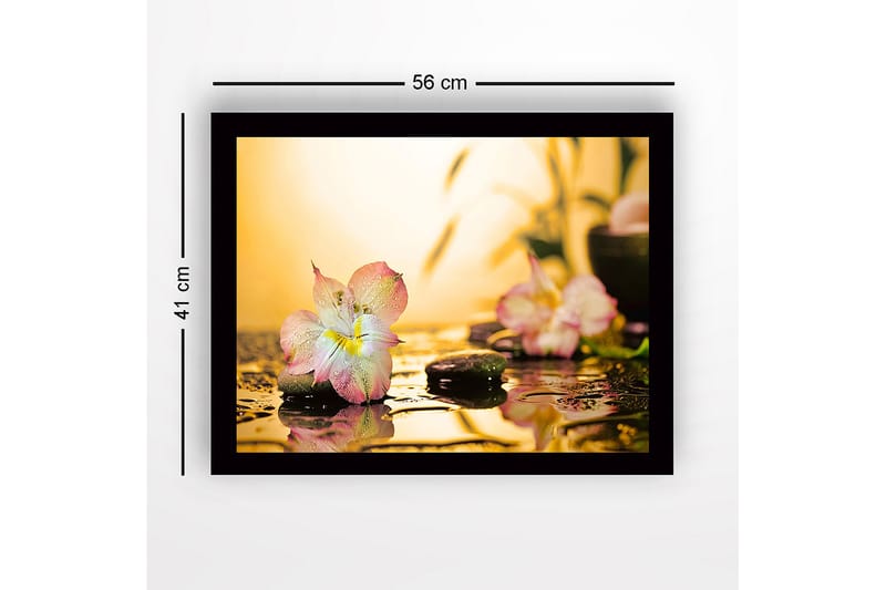 Inramad Canvastavla i trä - 41x56 cm - Vacker blomma med droppar av vatten på stenar - Rosa / Grön / Gul - Inredning & dekor - Tavlor & konst
