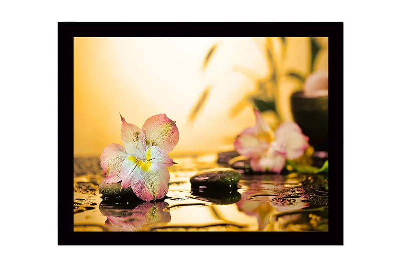 Inramad Canvastavla i trä - 41x56 cm - Vacker blomma med droppar av vatten på stenar - Rosa / Grön / Gul - Inredning & dekor - Tavlor & konst