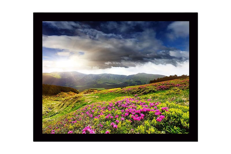 Inramad Canvastavla i trä - 41x56 cm - Vacker fjällandskap med blomstrande ängar - Grön / Rosa / Blå - Inredning & dekor - Tavlor & konst