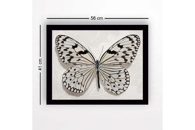 Inramad Canvastavla i trä - 41x56 cm - Vacker fjäril med detaljerade mönster i svart och vitt - Vit / Svart - Inredning & dekor - Tavlor & konst