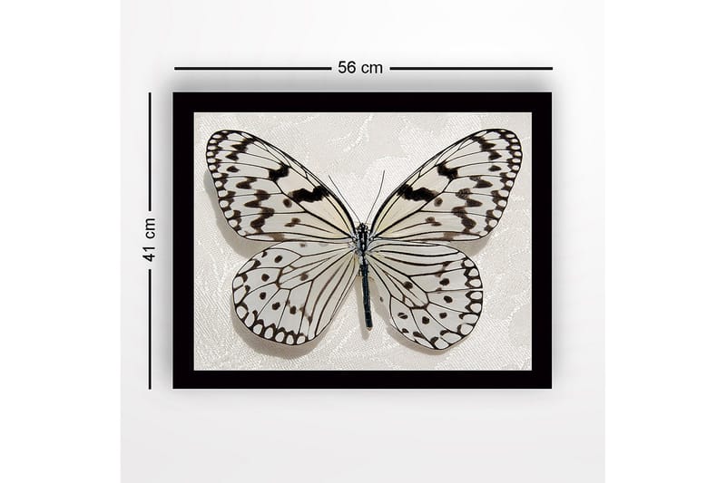 Inramad Canvastavla i trä - 41x56 cm - Vacker fjäril med detaljerade mönster i svart och vitt - Vit / Svart - Inredning & dekor - Tavlor & konst