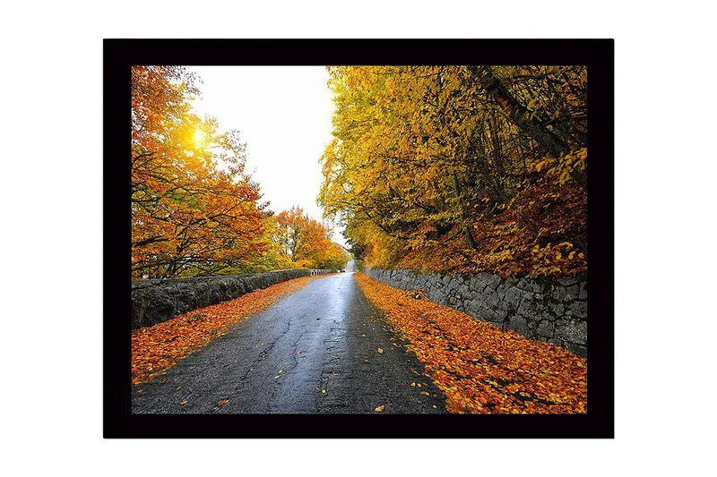 Inramad Canvastavla i trä - 41x56 cm - Vacker höstlandskap med en väg omgiven av gyllene träd, Guld / Orange / Grå