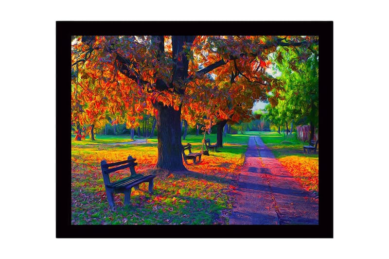Inramad Canvastavla i trä - 41x56 cm - Vacker höstscen med färgglada träd och bänkar i en park - Orange / Grön / Brun - Inredning & dekor - Tavlor & konst