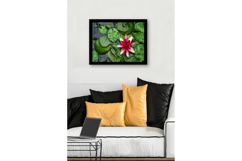 Inramad Canvastavla i trä - 41x56 cm - Vacker näckros som flyter på en stilla vattenyta omgiven av gröna liljabladen - Grön / Rosa - Inredning & dekor - Tavlor & konst