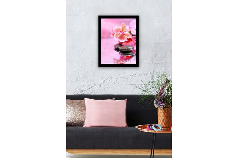 Inramad Canvastavla i trä - 41x56 cm - Vacker orkidé med stenar och droppar av vatten - Rosa / Svart - Inredning & dekor - Tavlor & konst