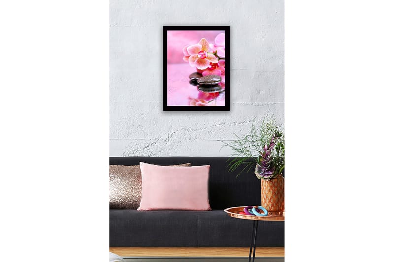 Inramad Canvastavla i trä - 41x56 cm - Vacker orkidé med stenar och droppar av vatten - Rosa / Svart - Inredning & dekor - Tavlor & konst