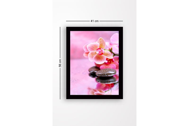 Inramad Canvastavla i trä - 41x56 cm - Vacker orkidé med stenar och droppar av vatten - Rosa / Svart - Inredning & dekor - Tavlor & konst