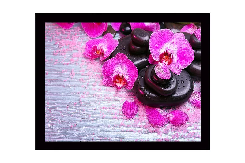 Inramad Canvastavla i trä - 41x56 cm - Vacker samling av orkidéer och svarta stenar - Rosa / Svart / Ljusgrå - Inredning & dekor - Tavlor & konst