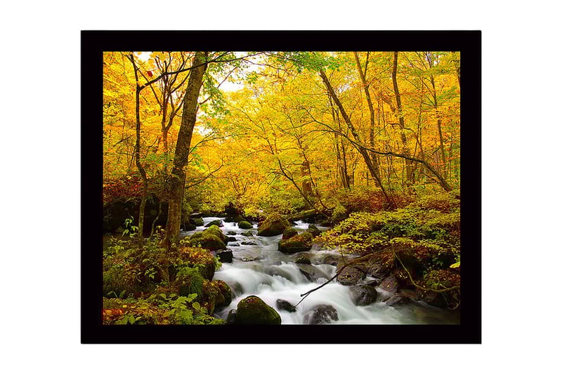 Inramad Canvastavla i trä - 41x56 cm - Vacker skog med en porlande bäck omgiven av gyllene höstlöv - Gult / Grönt / Brunt - Inredning & dekor - Tavlor & konst