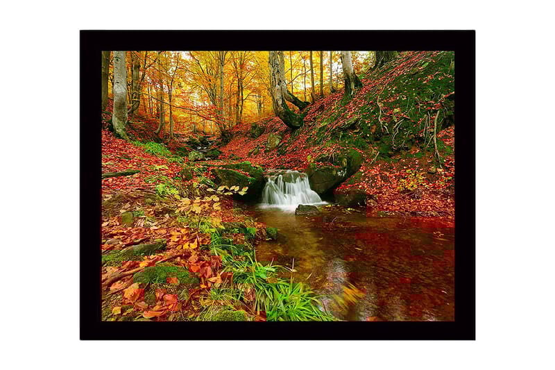 Inramad Canvastavla i trä - 41x56 cm - Vacker skog med en porlande bäck omgiven av höstfärger, Röd / Orange / Grön