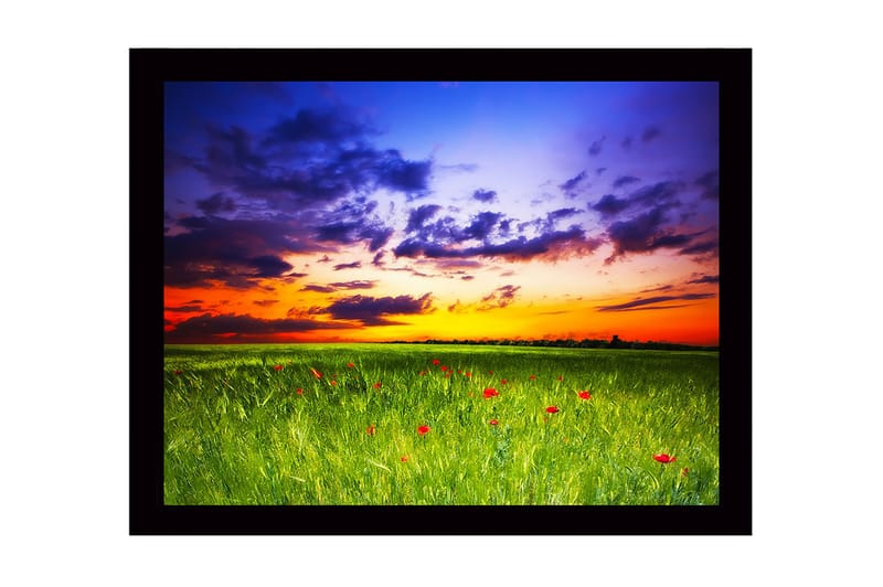 Inramad Canvastavla i trä - 41x56 cm - Vacker solnedgång över en grön äng med röda vallmo, Grön / Orange / Blå