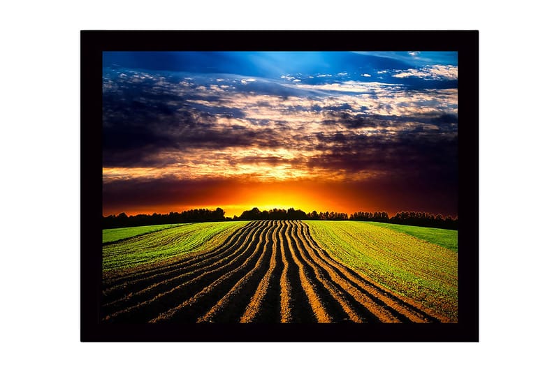 Inramad Canvastavla i trä - 41x56 cm - Vacker solnedgång över ett böljande fält med plöjda rader, Grön / Orange / Blå