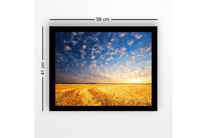 Inramad Canvastavla i trä - 41x56 cm - Vacker solnedgång över ett gyllene fält av vete - Guld / Blå / Vit - Inredning & dekor - Tavlor & konst