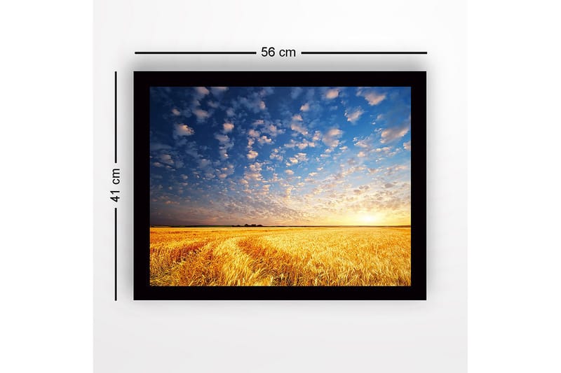 Inramad Canvastavla i trä - 41x56 cm - Vacker solnedgång över ett gyllene fält av vete - Guld / Blå / Vit - Inredning & dekor - Tavlor & konst