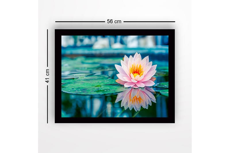 Inramad Canvastavla i trä - 41x56 cm - Vacker vattenlilja som flyter på en spegelblanka yta - Rosa / Grön / Gul - Inredning & dekor - Tavlor & konst