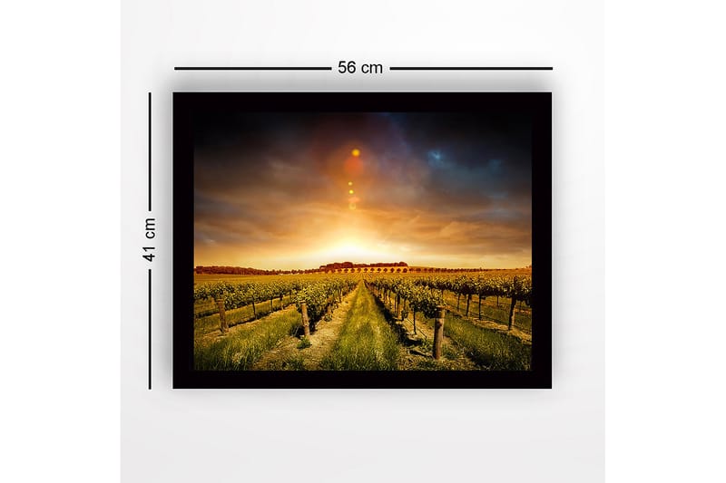 Inramad Canvastavla i trä - 41x56 cm - Vacker vinodling under en gyllene solnedgång - Guld / Grön / Brun - Inredning & dekor - Tavlor & konst