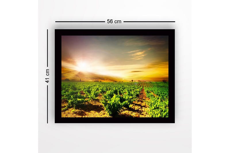 Inramad Canvastavla i trä - 41x56 cm - Vacker vinodling under en soluppgång - Grön / Gul / Orange - Inredning & dekor - Tavlor & konst