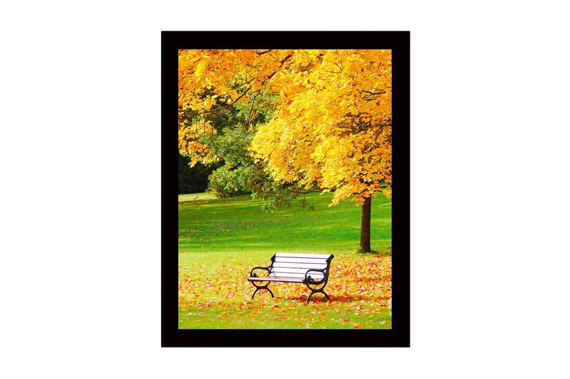 Inramad Canvastavla i trä - 41x56 cm - Vacker parkbänk omgiven av gyllene höstlöv, Guld / Grön / Svart