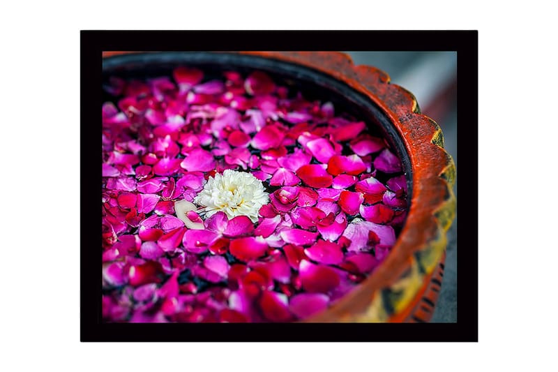 Inramad Canvastavla i trä - 41x56 cm - Vit blomma omgiven av rosa rosenblad i en skål - Rosa / Vit - Inredning & dekor - Tavlor & konst