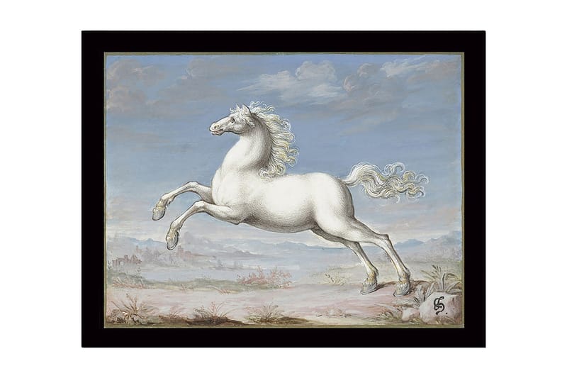 Inramad Canvastavla i trä - 41x56 cm - Vit häst i språng mot en blå himmel - Vit / Blå / Beige - Inredning & dekor - Tavlor & konst