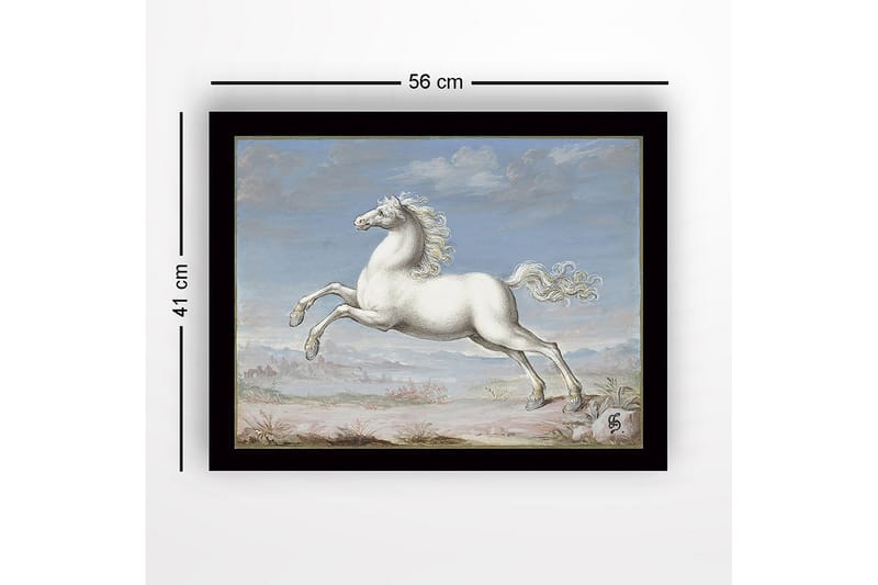 Inramad Canvastavla i trä - 41x56 cm - Vit häst i språng mot en blå himmel - Vit / Blå / Beige - Inredning & dekor - Tavlor & konst