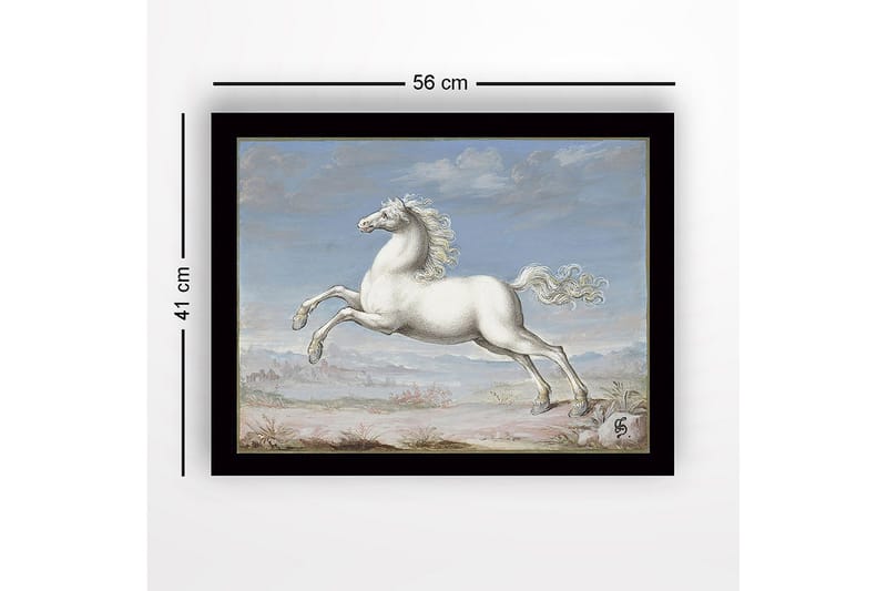 Inramad Canvastavla i trä - 41x56 cm - Vit häst i språng mot en blå himmel - Vit / Blå / Beige - Inredning & dekor - Tavlor & konst