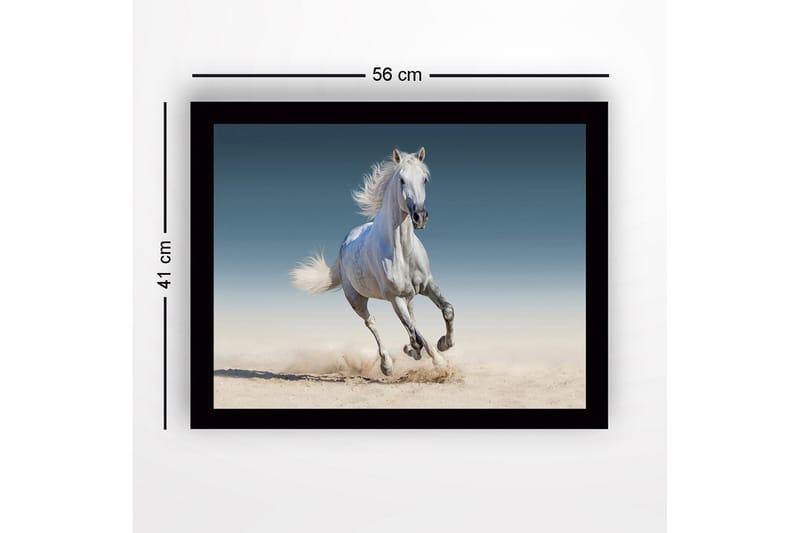 Inramad Canvastavla i trä - 41x56 cm - Vit häst som galopperar genom sanden - Vit / Beige / Blå - Inredning & dekor - Tavlor & konst