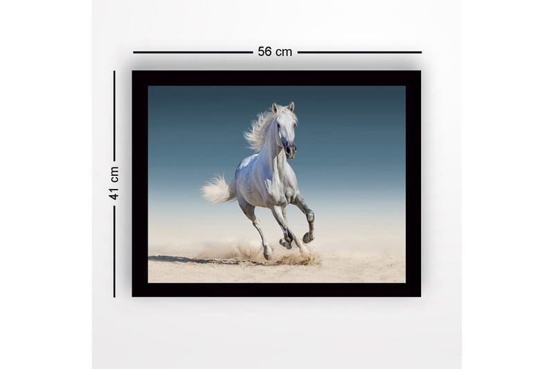 Inramad Canvastavla i trä - 41x56 cm - Vit häst som galopperar genom sanden - Vit / Beige / Blå - Inredning & dekor - Tavlor & konst