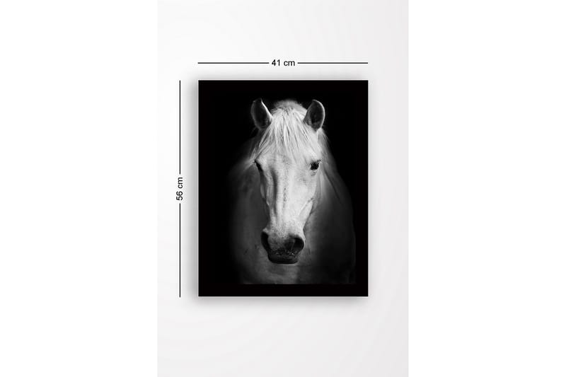 Inramad Canvastavla i trä - 41x56 cm - Porträtt av en vit häst med starka kontraster - Vit / Svart - Inredning & dekor - Tavlor & konst