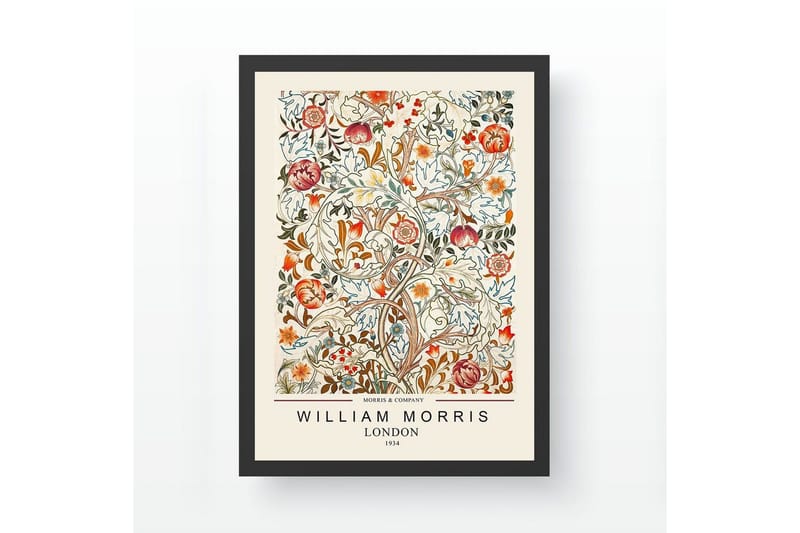 Dekorativt Inramad Målning Campora Ticoman Flerfärgad (35 x 45 cm), Multifärgad