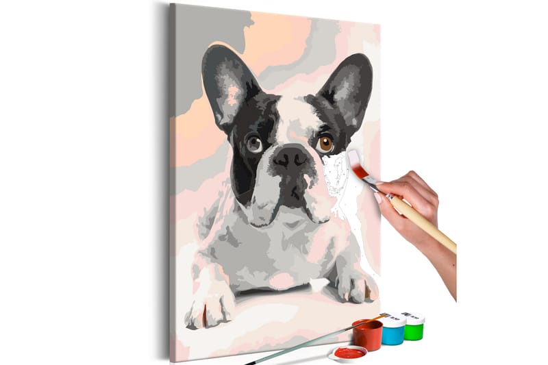 GÖR-DET-SJÄLV Målningar French Bulldog  40x60 cm - Artgeist sp. z o. o. - Gör det själv tavlor