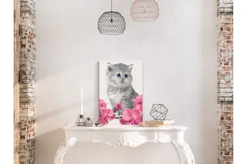 Gör-det-själv Målningar Kitty Cat 40x60 cm - Artgeist sp. z o. o. - Inredning & dekor - Tavlor & konst - Måla själv - Gör det själv tavlor