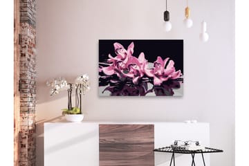 Gör-det-själv Målningar Pink Orchid Black 60x40 cm - Artgeist sp. z o. o. - Inredning & dekor - Tavlor & konst - Måla själv - Gör det själv tavlor