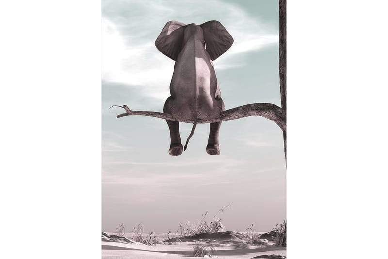 ELEPHANT Poster 50x70 cm Multifärgad - Poster & print