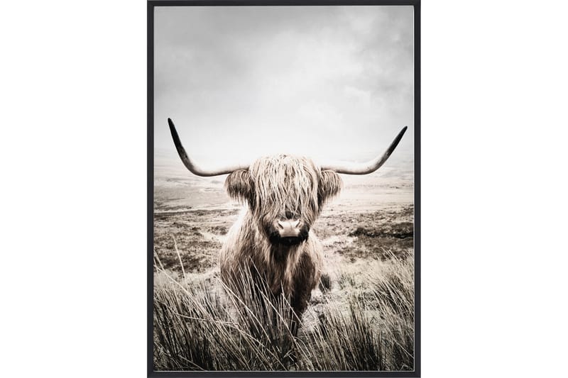 NÖTKREATUR Poster 50x70 cm Natur - Inredning & dekor - Tavlor & konst - Poster & print