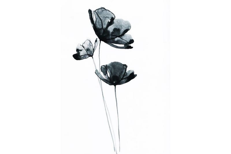 Poster Blue Flower Grå 50X70 - Poster & print