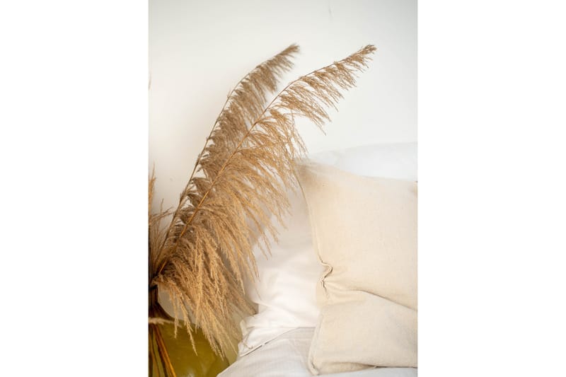 Poster Bohemian 50x70 cm - Beige - Inredning & dekor - Tavlor & konst - Poster & print