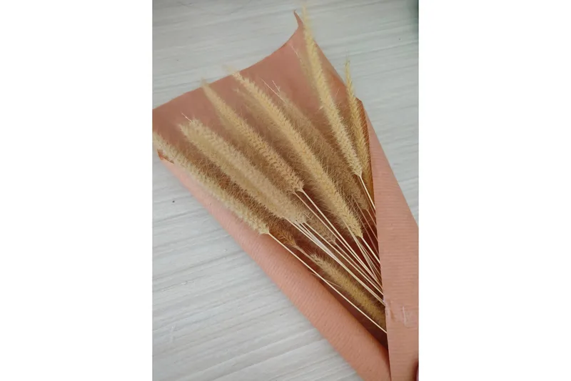 Poster Dry flowers 21x30 cm, Rosa/Beige