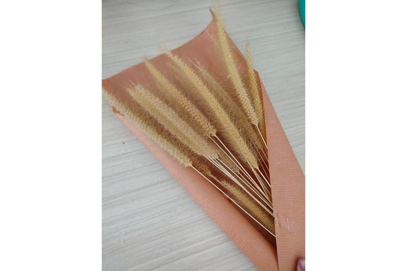 Poster Dry flowers 30x40 cm - Rosa/Beige - Inredning & dekor - Tavlor & konst - Poster & print