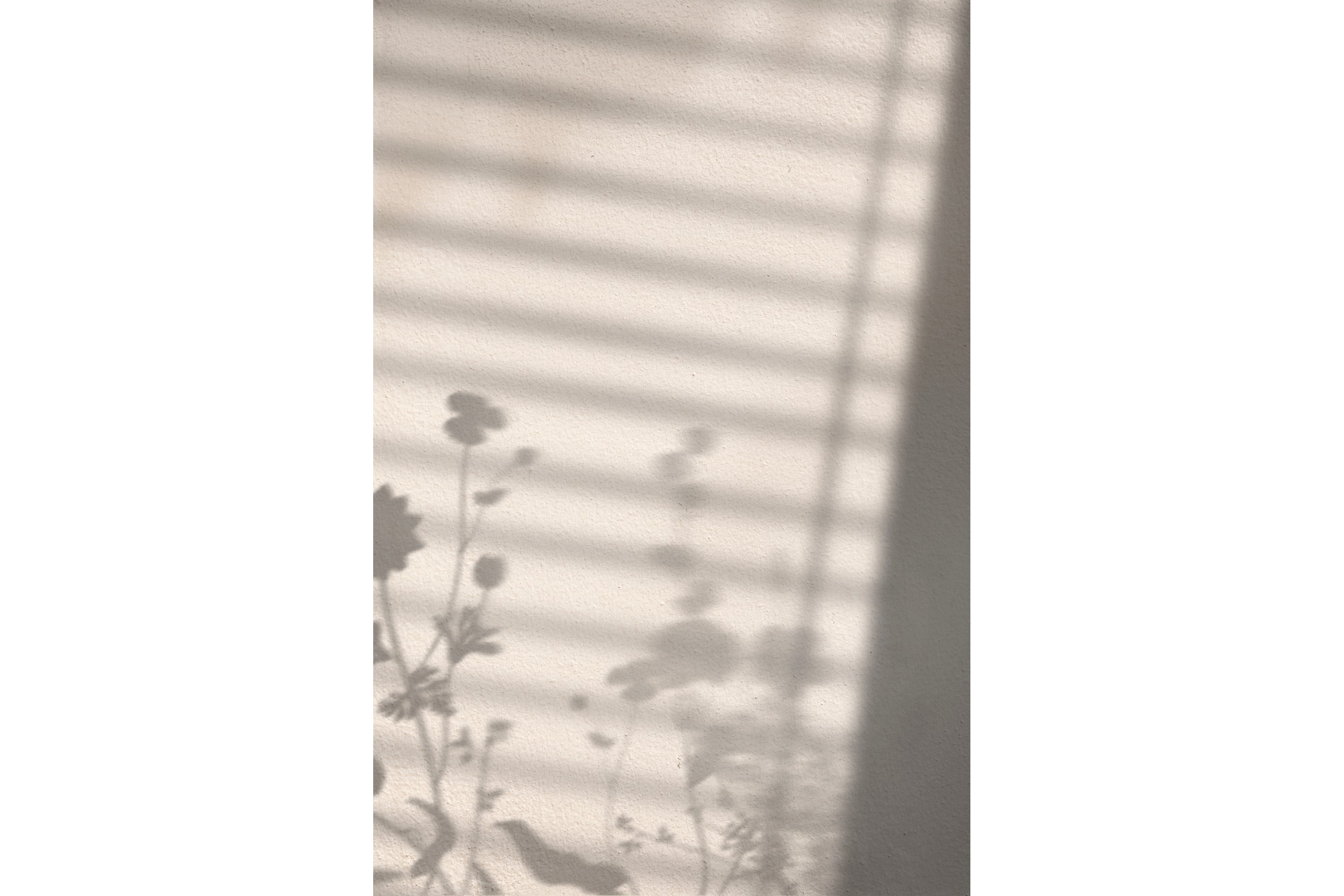 Poster Flower shadow 30×40 cm Vit –
