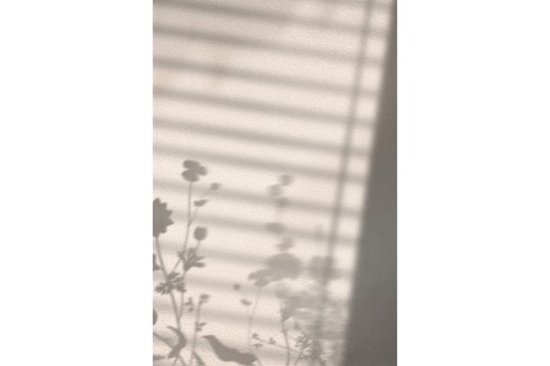 Poster Flower shadow 50x70 cm Vit - Poster & print
