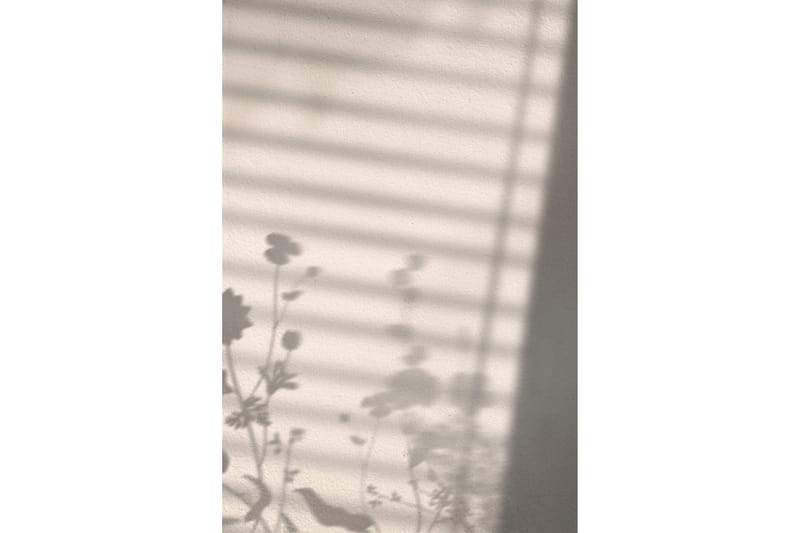 Poster Flower Shadow 50x70 cm, Vit
