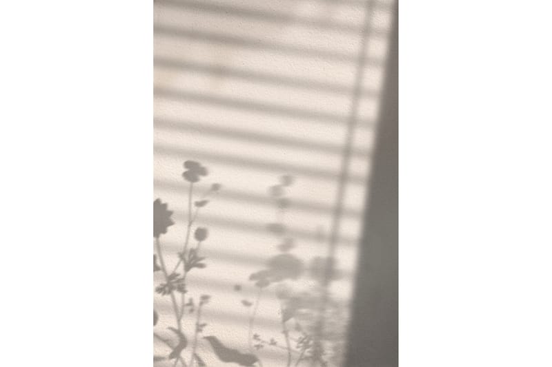 Poster Flower shadow 70x100 cm Vit - Poster & print