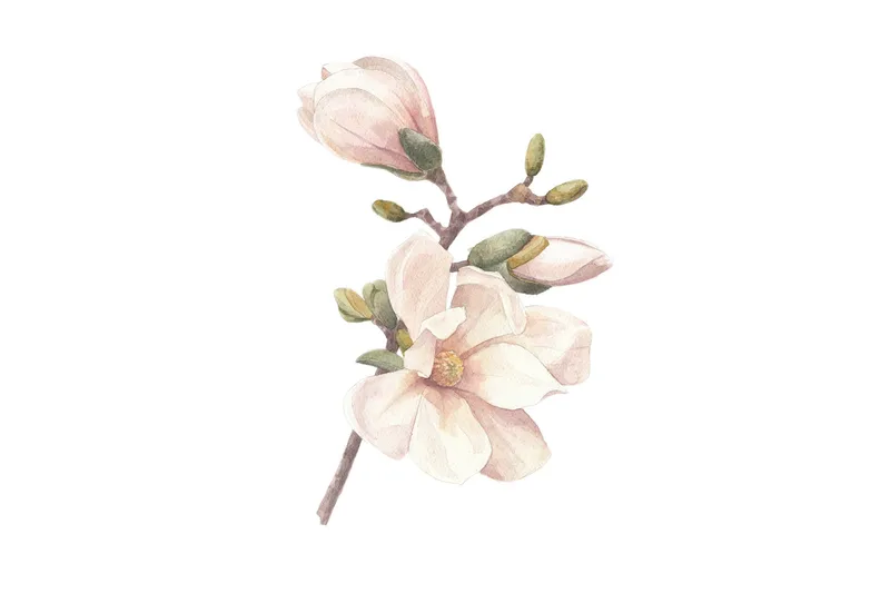 Poster Hand made 30x40 cm, Rosa/Vit