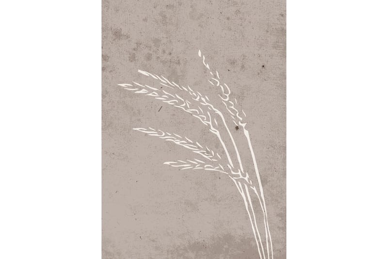 Poster Seeds 50x70 cm - Beige - Inredning & dekor - Tavlor & konst - Poster & print