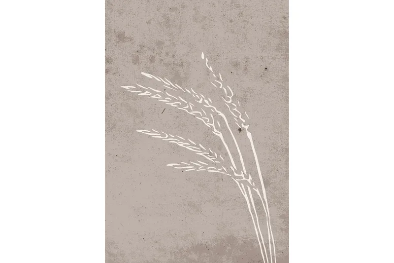 Poster Seeds 70x100 cm - Beige - Inredning & dekor - Tavlor & konst - Poster & print