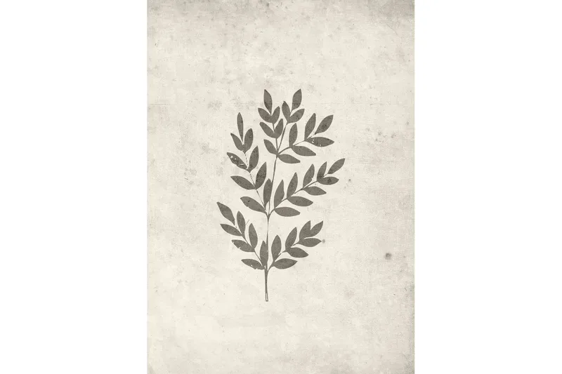 Poster Spring leaf 50x70 cm - Beige - Inredning & dekor - Tavlor & konst - Poster & print