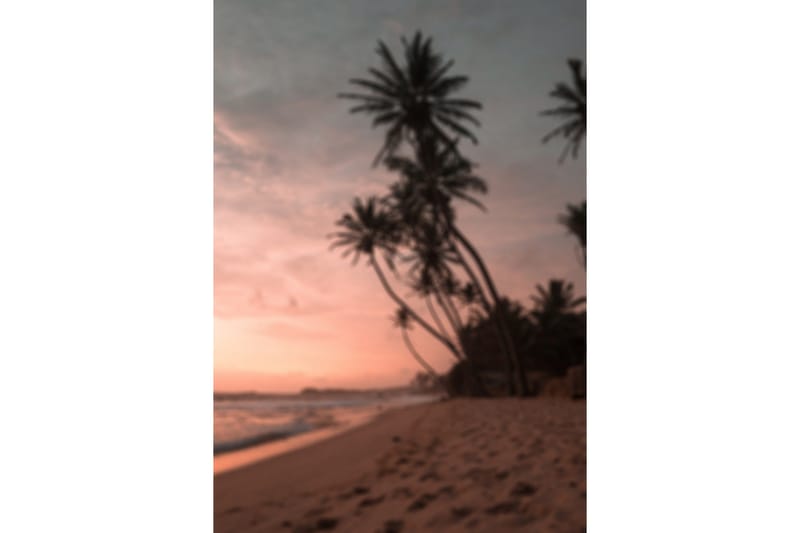 Poster Summer 21x30 cm - Rosa - Inredning & dekor - Tavlor & konst - Poster & print