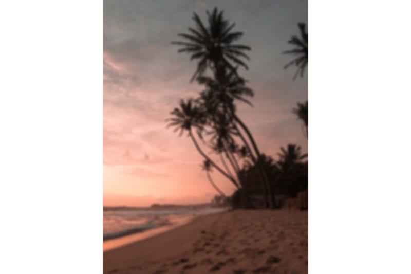 Poster Summer 30x40 cm - Rosa - Inredning & dekor - Tavlor & konst - Poster & print