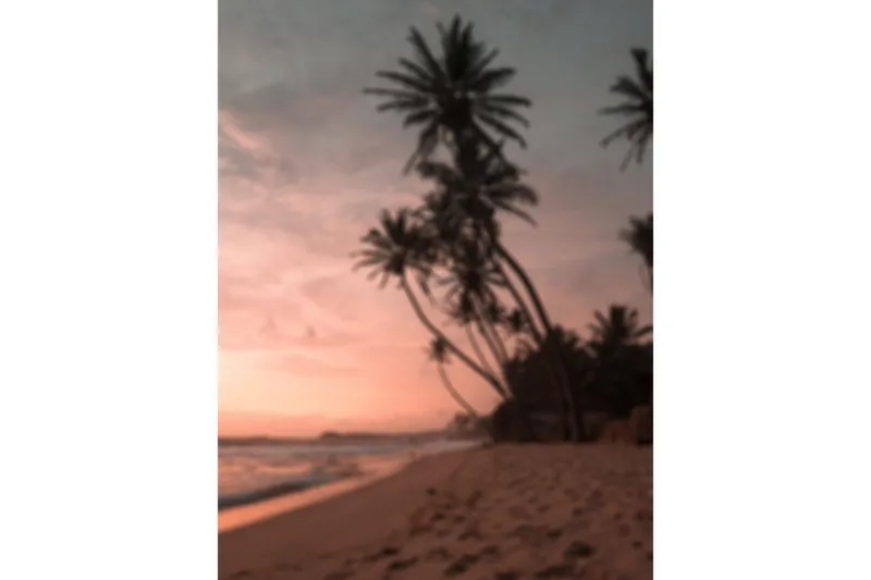 Poster Summer 30x40 cm, Rosa